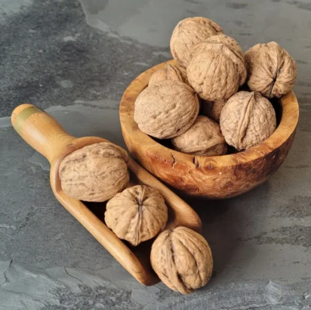 Walnut with Shell